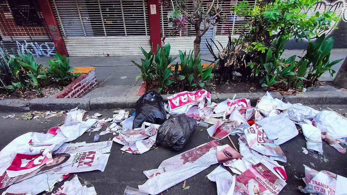 983536_Basura Electoral Colonia Roma-2_web